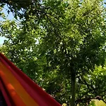 гювийски 게스트하우스 사파레바바냐