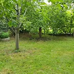 гювийски 3*