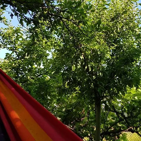 гювийски Pensión Sapareva Banya